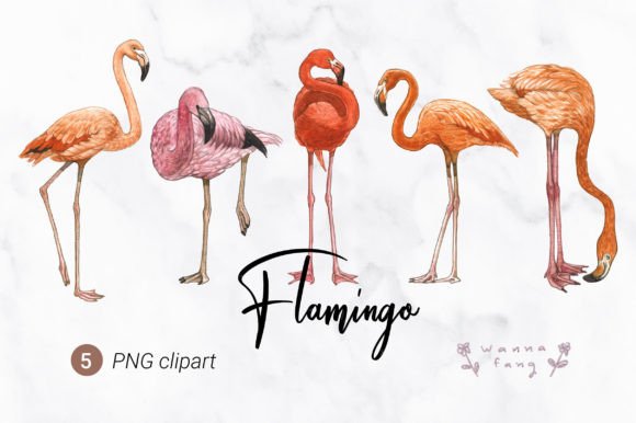 Download Flamingo Watercolor Animal Clipart, PNG - Animal clipart Collection