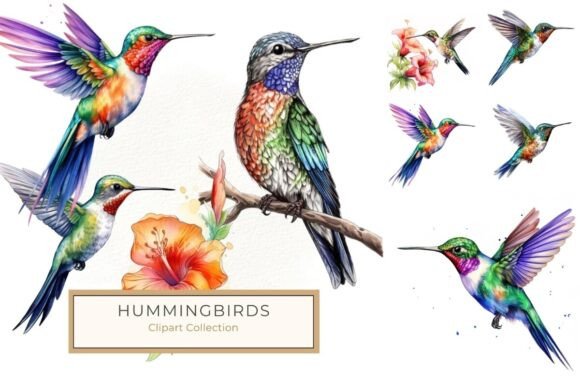 Download Vibrant Watercolor Hummingbird Clipart - Vibrant watercolor Collection