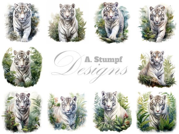 Download White Tiger Watercolor Animal Clipart - Animal clipart Collection
