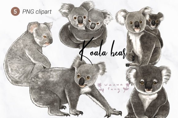 Download Koala Bear Watercolor Animal Clipart, PN - Animal clipart Collection
